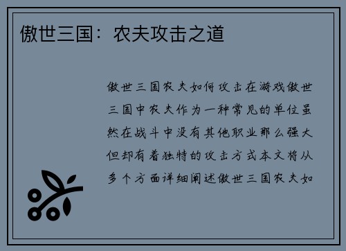 傲世三国：农夫攻击之道